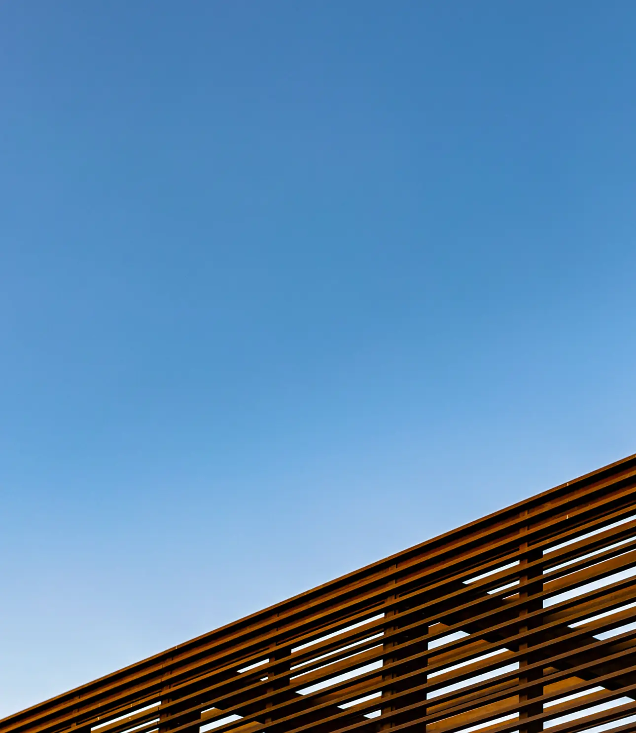 DAY 1  ONLINE PASS background